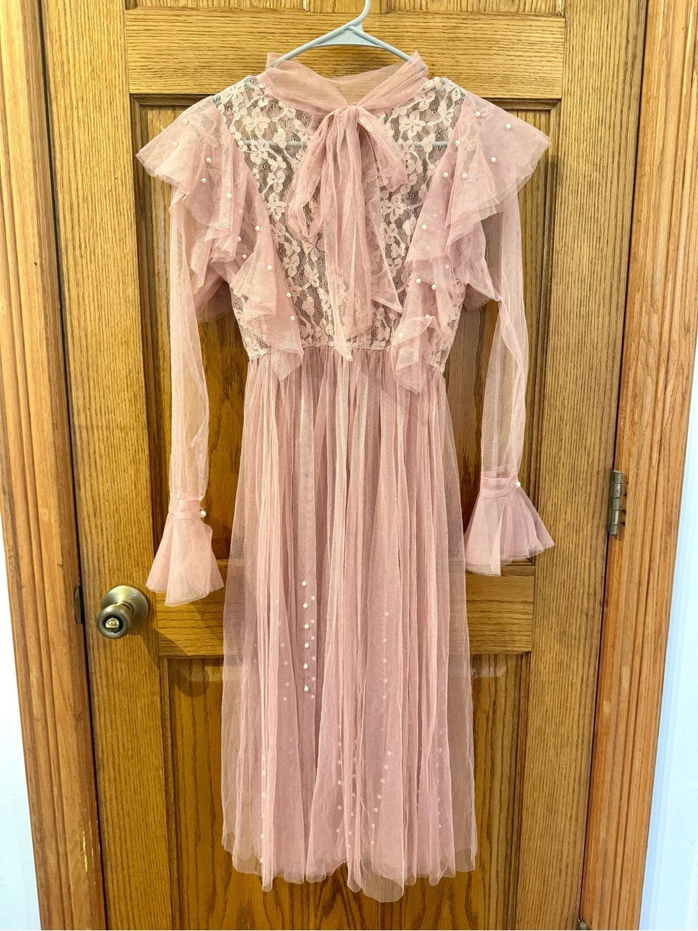 Vintage Floral Lace Blush Dress | Scattered Pearl Sheer Skirt